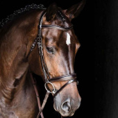 Bridon Monza Marron Bridon Monza Marron