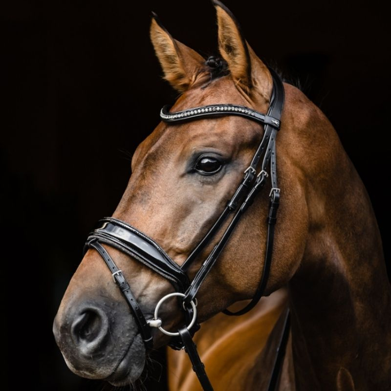 Bridon de dressage Stanford Glam Noir