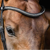 Bridon de dressage Stanford Glam Noir Bridon de dressage Stanford Glam Noir