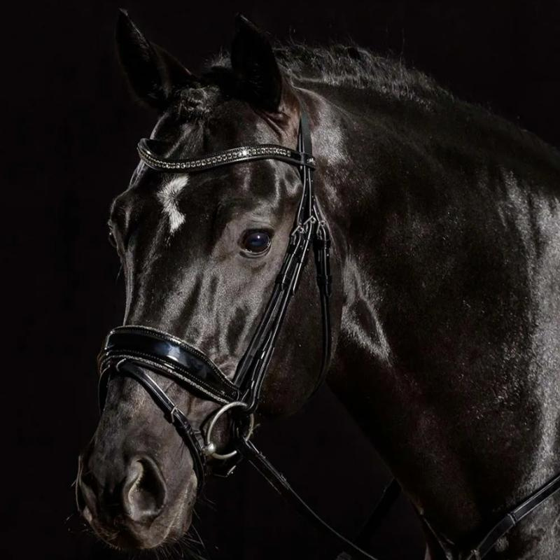 Bridon de dressage Stanford Glam Noir