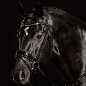 Bridon de dressage Stanford Glam Noir Bridon de dressage Stanford Glam Noir