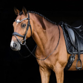 Bridon de dressage Charleston Noir Bridon de dressage Charleston Noir