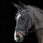 Bridon de dressage Charleston Noir Bridon de dressage Charleston Noir