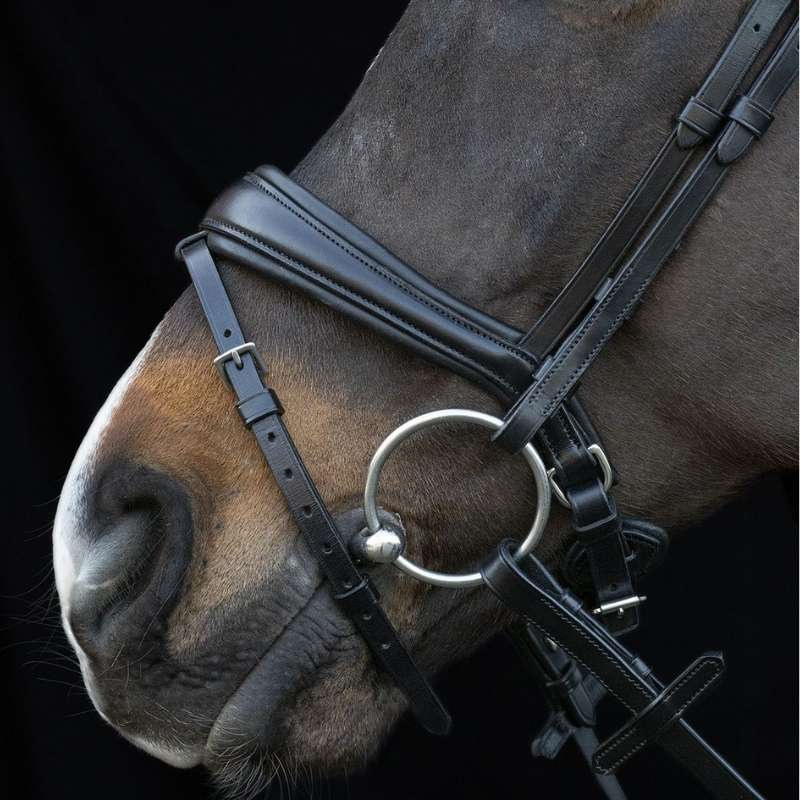 Bridon de dressage Charleston Noir