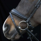 Bridon de dressage Charleston Noir Bridon de dressage Charleston Noir