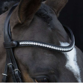 Bridon de dressage Charleston Noir Bridon de dressage Charleston Noir
