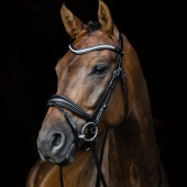 Bridon de dressage Charleston Noir Bridon de dressage Charleston Noir