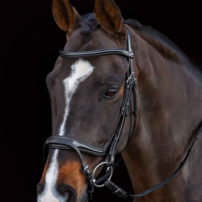 Bridon Ancona Select Noir