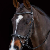 Bridon Ancona Select Noir Bridon Ancona Select Noir