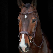 Bridon Ancona Select Marron Bridon Ancona Select Marron