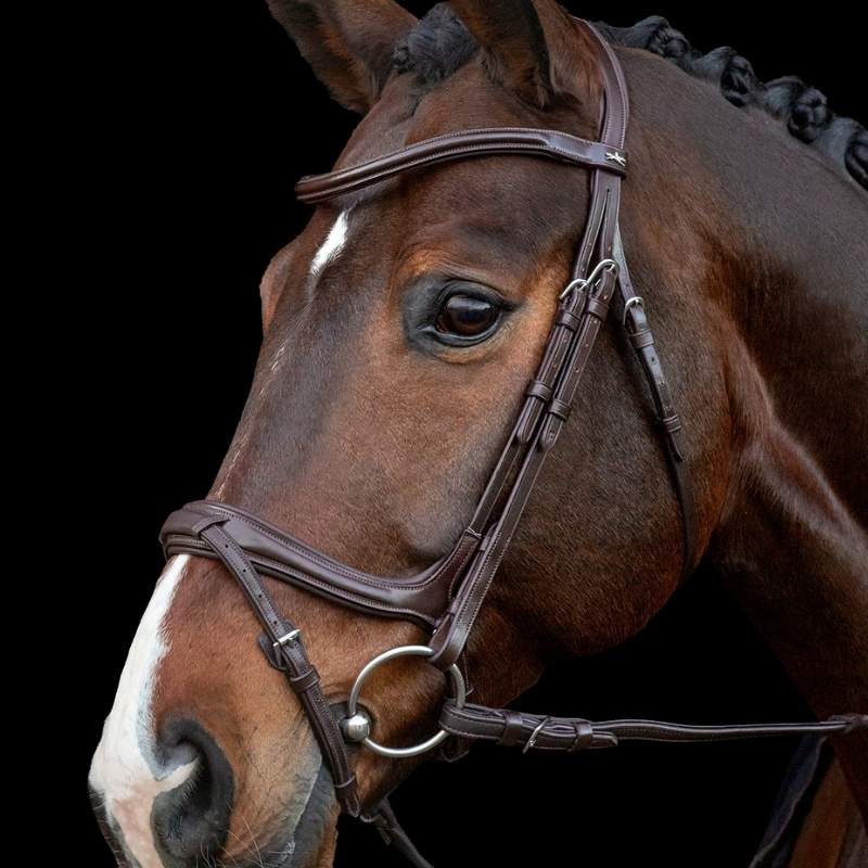 Bridon Ancona Select Marron