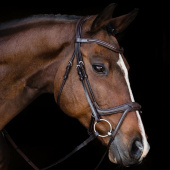 Bridon Ancona Select Marron Bridon Ancona Select Marron