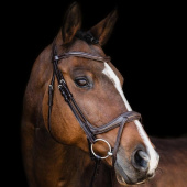 Bridon Ancona Select Marron Bridon Ancona Select Marron