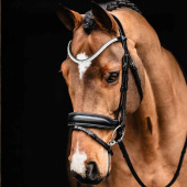 Bridon de dressage Valencia Noir Bridon de dressage Valencia Noir