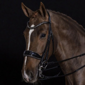 Bride de dressage vernie Milan Glam Noir Bride de dressage vernie Milan Glam Noir