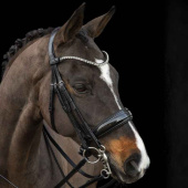Bride de dressage Milazzo Noir Bride de dressage Milazzo Noir