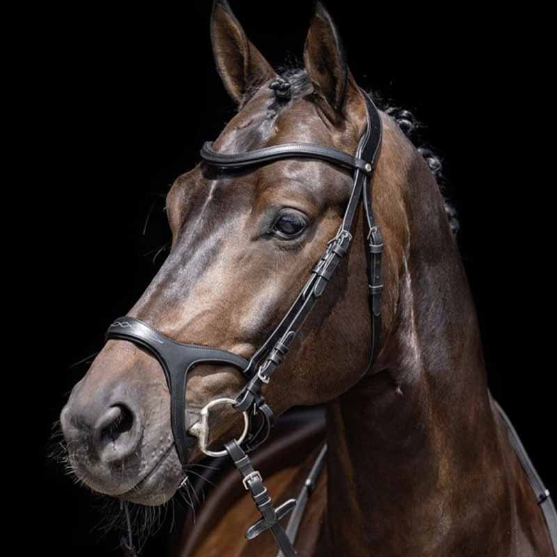 Bridon anatomique Sport avec rênes noir