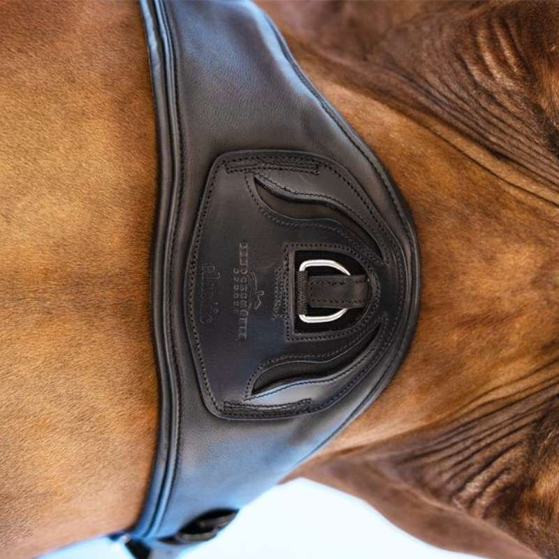 Sangle de dressage Pittsburgh Stretch Noir