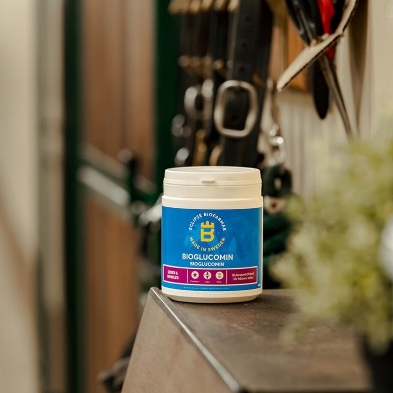 BioGlucomin 450 g