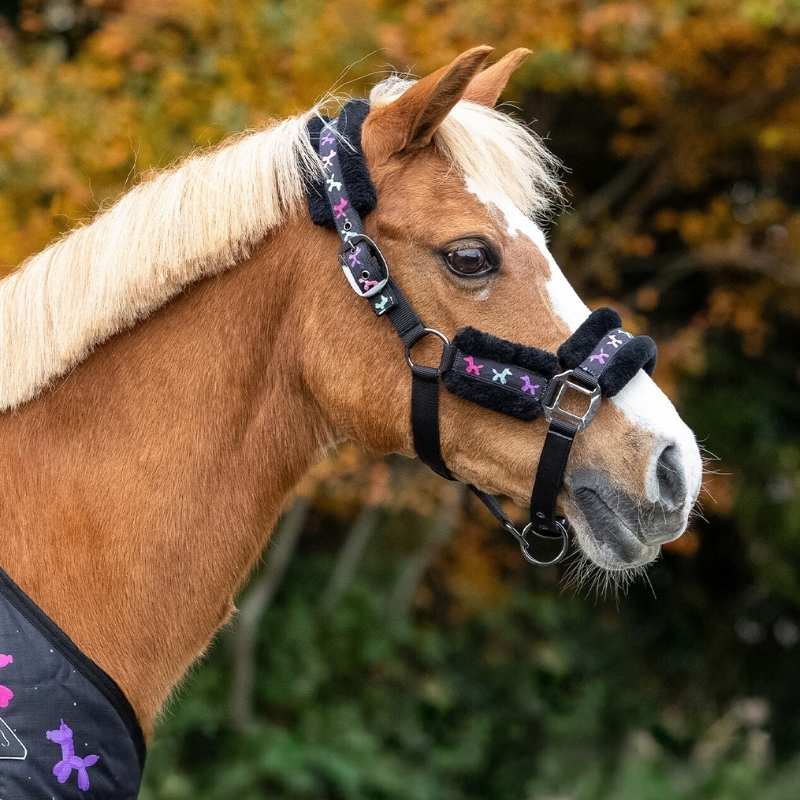 Licol et longe d'attache Isalyn Unicorn Noir
