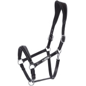 Licol en cuir Frisco F Noir Licol en cuir Frisco F Noir