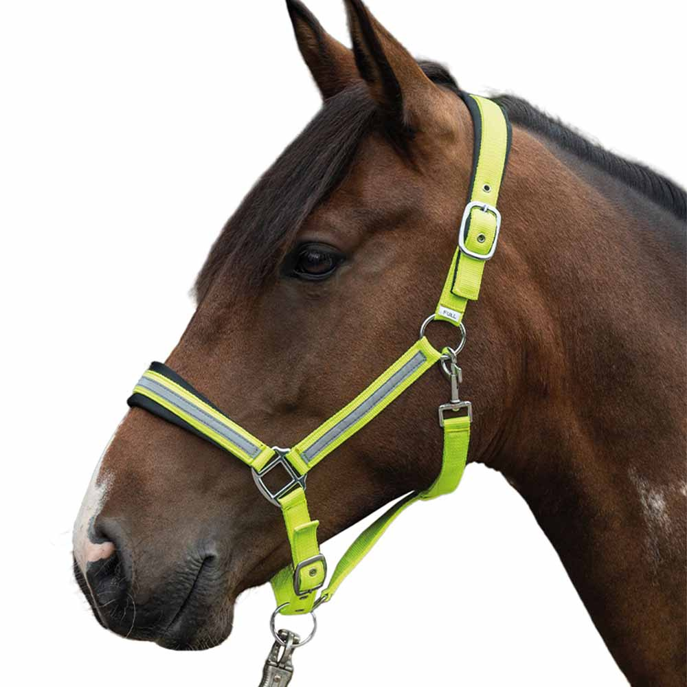 Licol Réfléchissant Jaune/Argent Cob