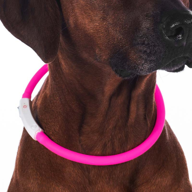 Collier pour chien LED Rose
