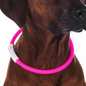 Collier pour chien LED Rose Collier pour chien LED Rose