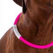 Collier pour chien LED Rose Collier pour chien LED Rose