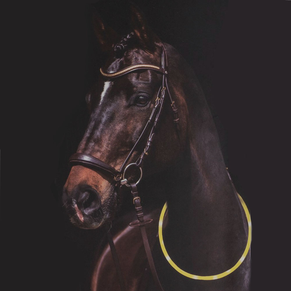 Anneau lumineux LED Jaune