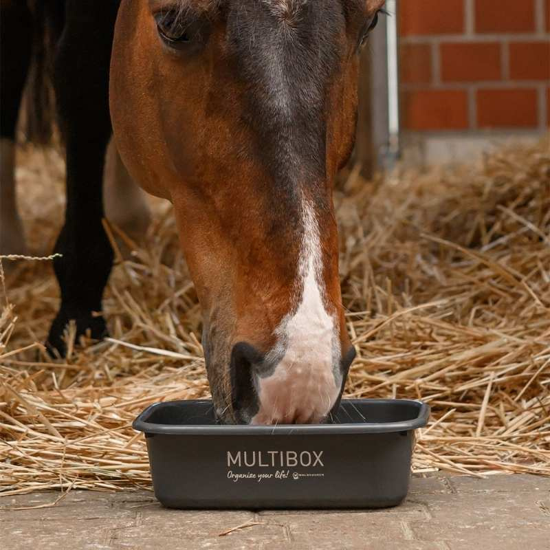 Multibox avec couvercle 3L Gris