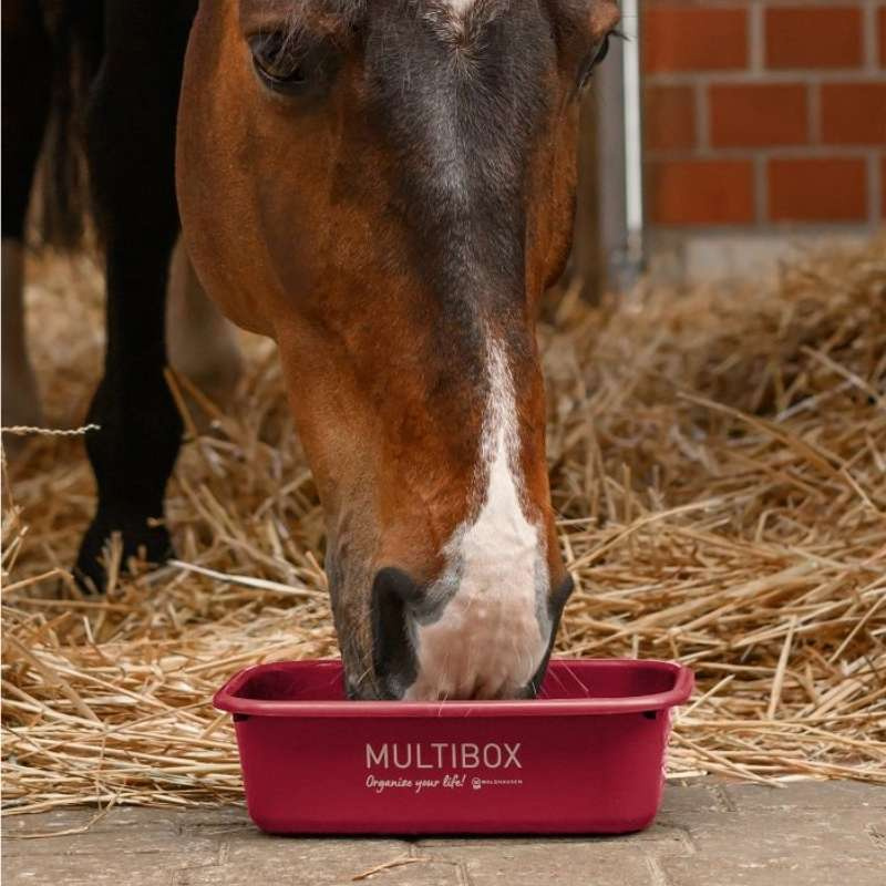 Multibox avec couvercle 3L Rouge