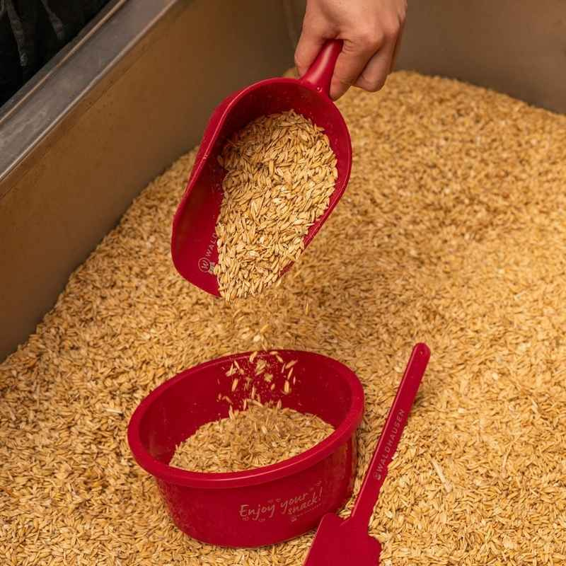 Pelle à nourriture 0,5L Rouge