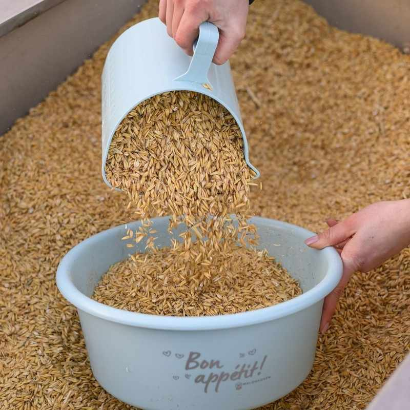 Pelle à nourriture 2L Bleu