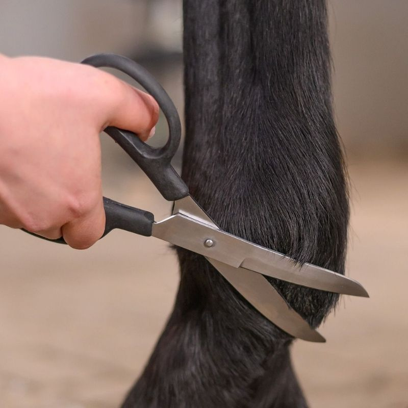 Ciseaux Fetlock Shears Bend Noir
