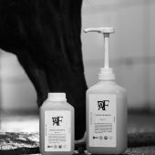 Shampoing Everyday Original 00.01 Shampoing Everyday Original 00.01