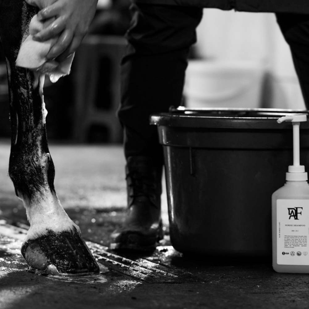 Shampoing Everyday Original 00.01  