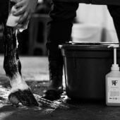 Shampoing Everyday Original 00.01 Shampoing Everyday Original 00.01