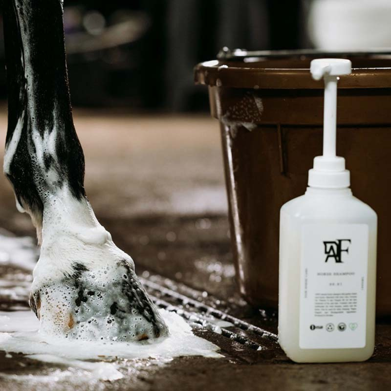 Shampoing Everyday Original 00.01  