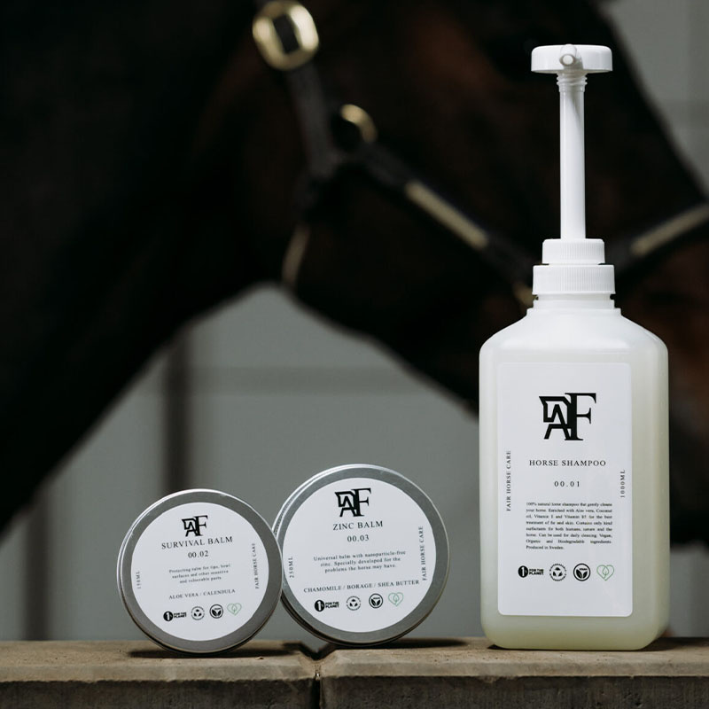 Shampoing Everyday Original 00.01  