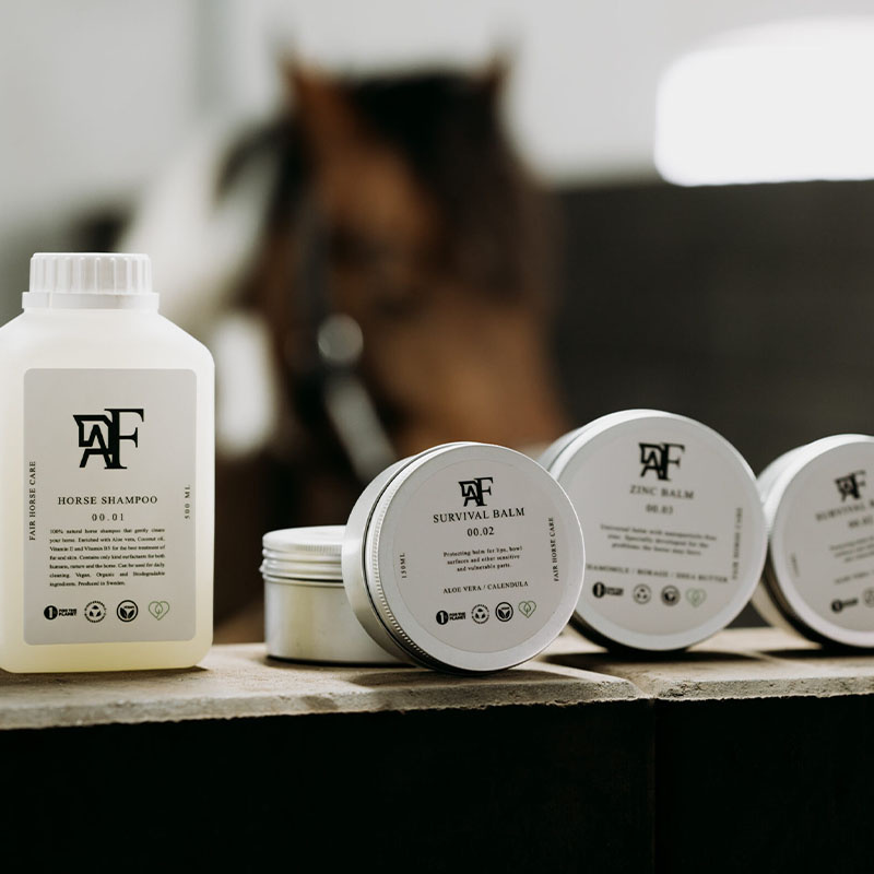 Shampoing Everyday Original 00.01  