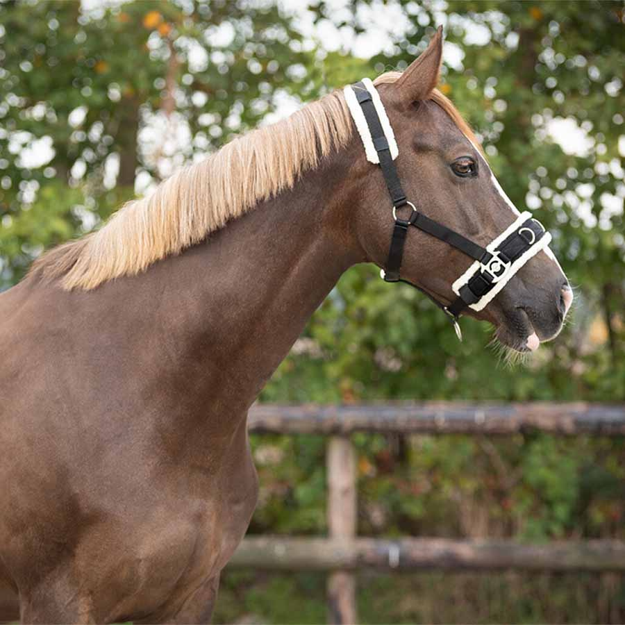 Kapson Fausse Fourrure Noir