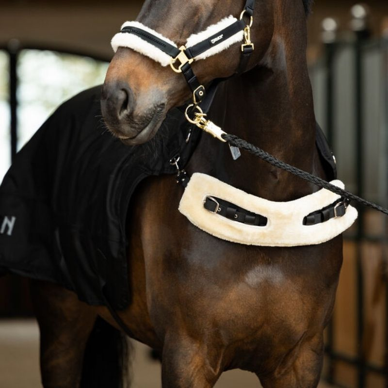 Couverture pour marcheur Delta II Walker Noir