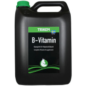 Vitamine B Liquide 