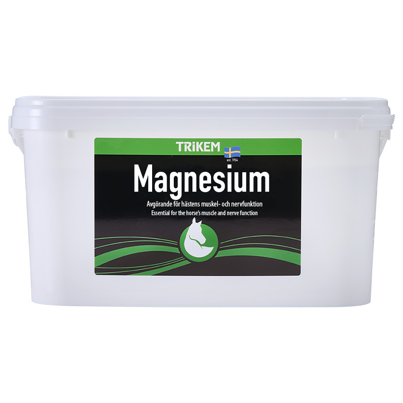 Magnésium