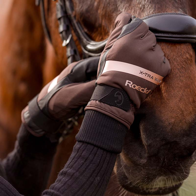 Gants d'équitation d'hiver Wynne Mocha
