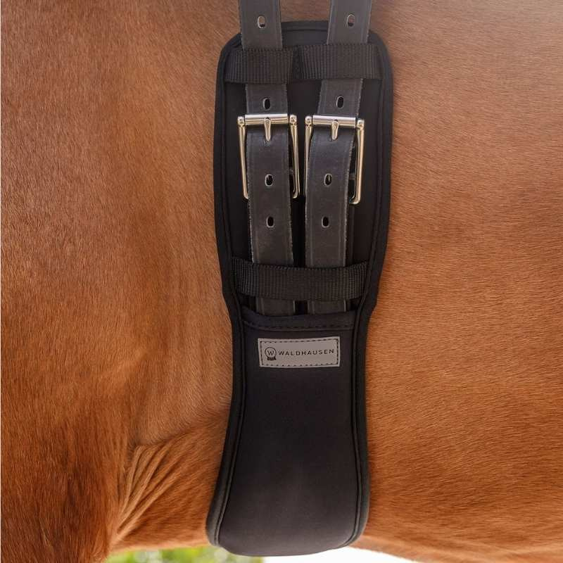 Sangle de dressage Gel Noir