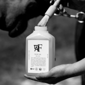 Huile pour sabot 00.04 500ml Huile pour sabot 00.04 500ml