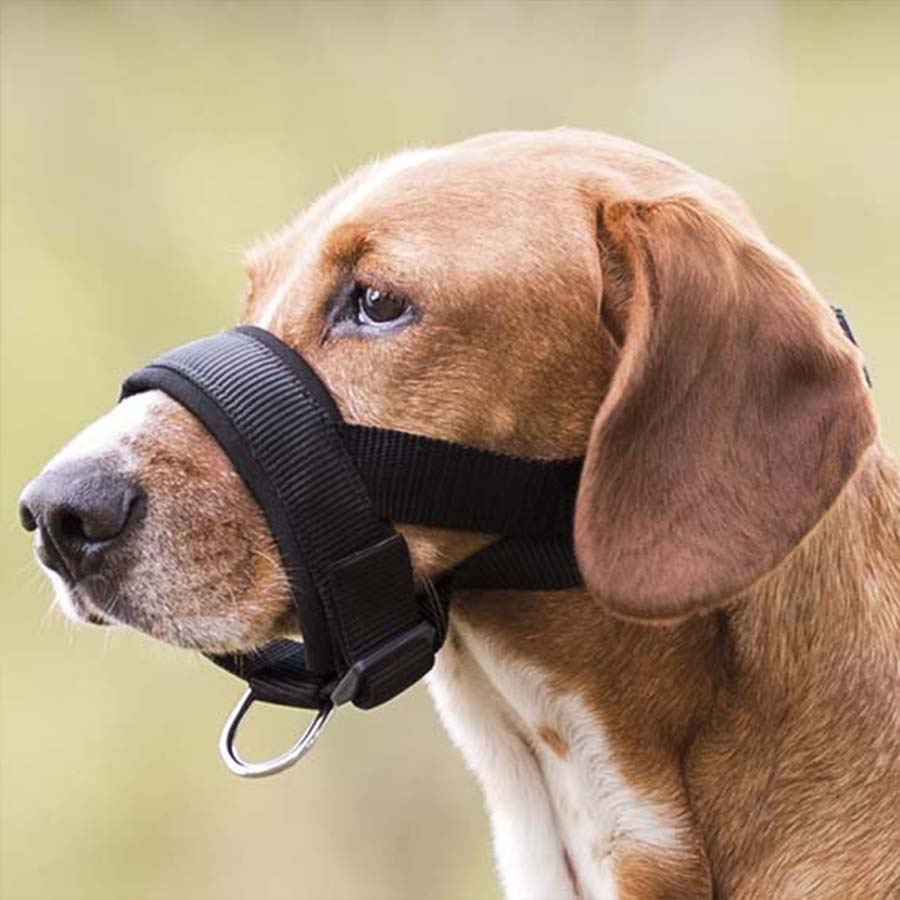 Filet de nez rembourré Noir