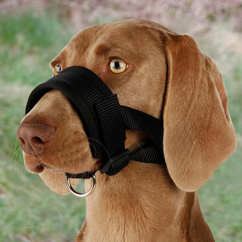 Filet de nez rembourré Noir